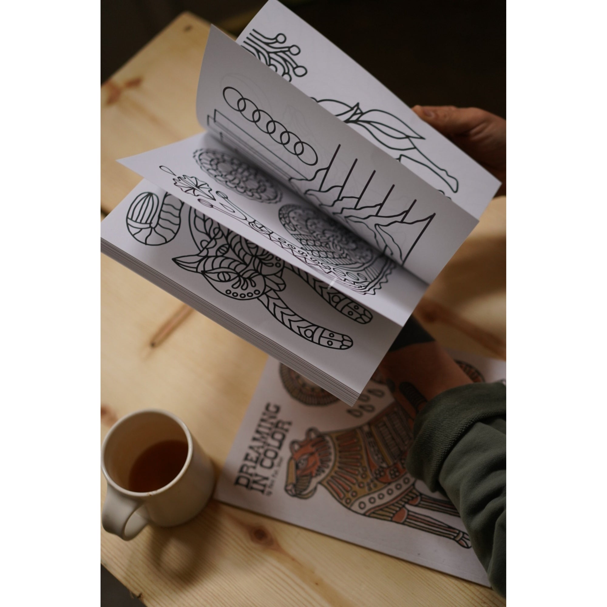 'Dreaming In Color' Coloring Book