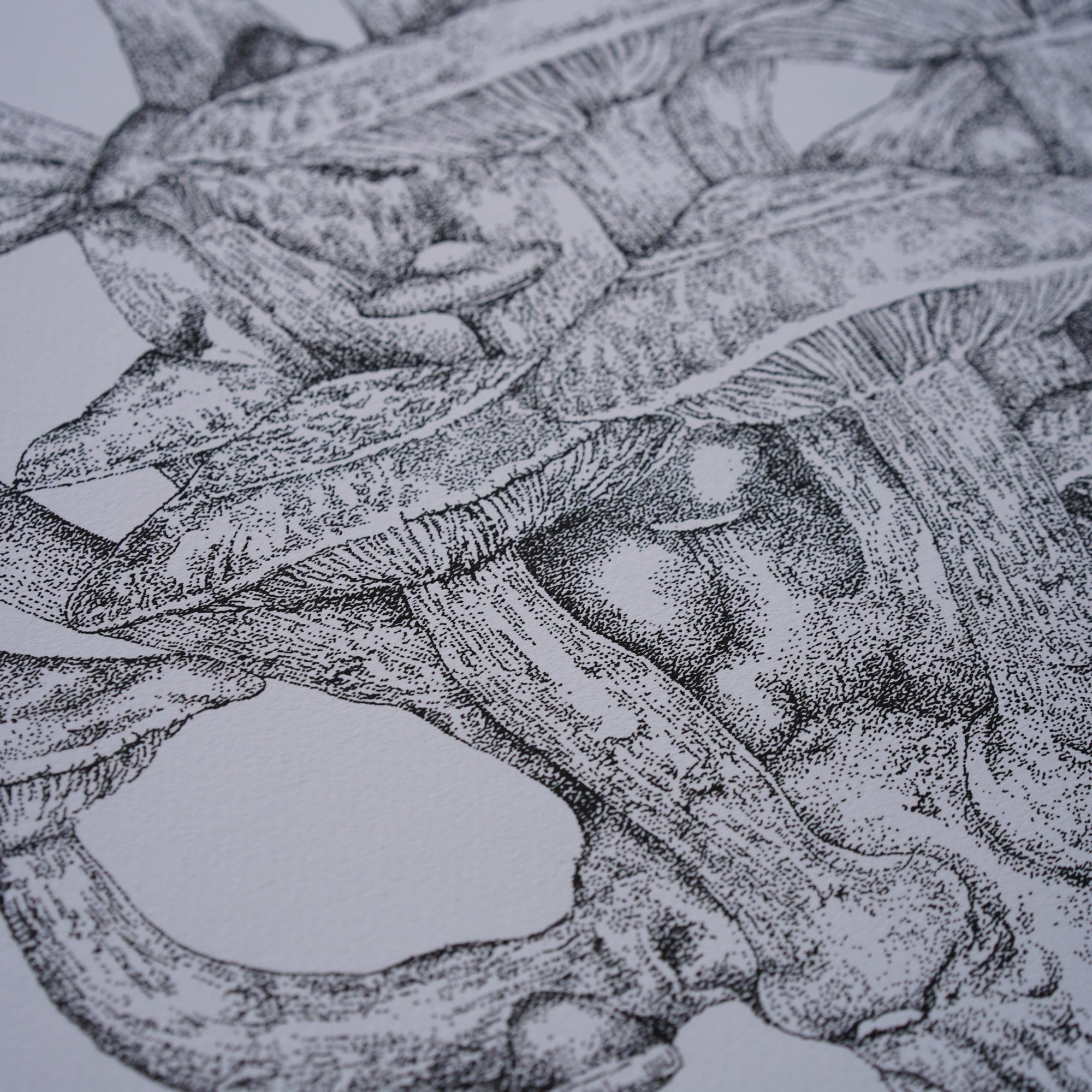 'Cluster' Fine Art Print