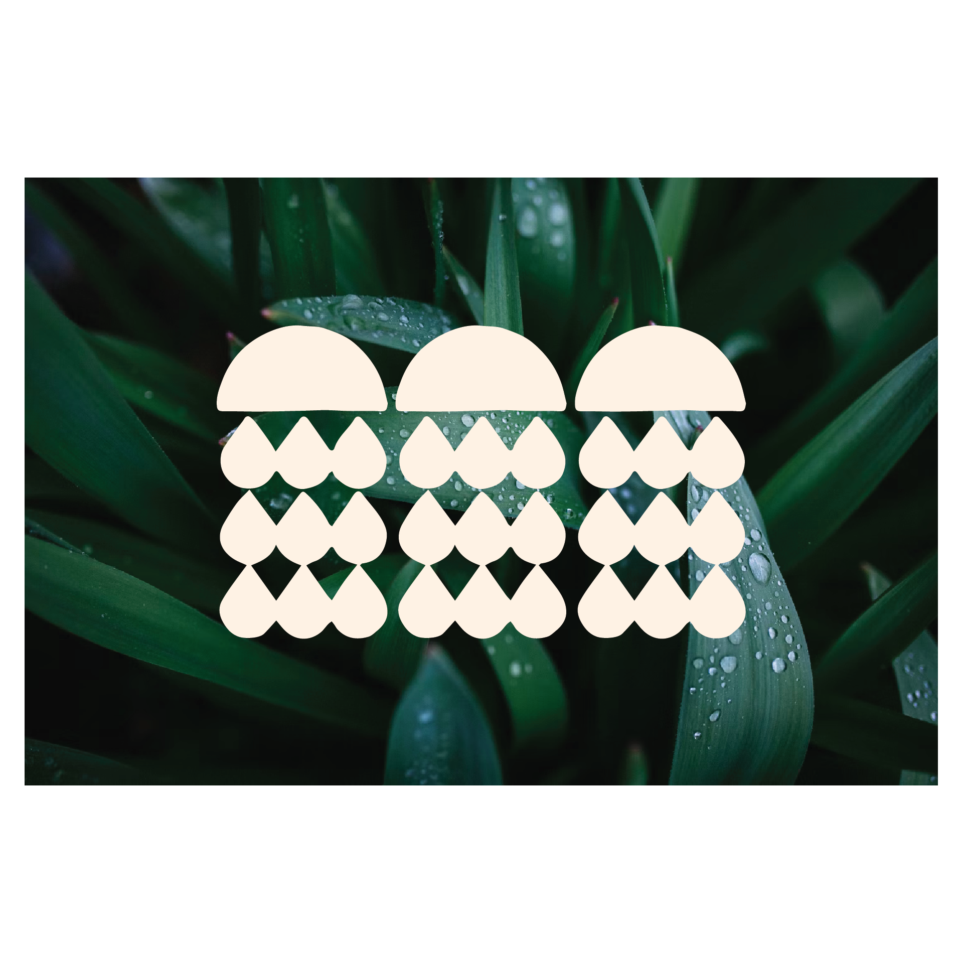 ICON PACK no. 1