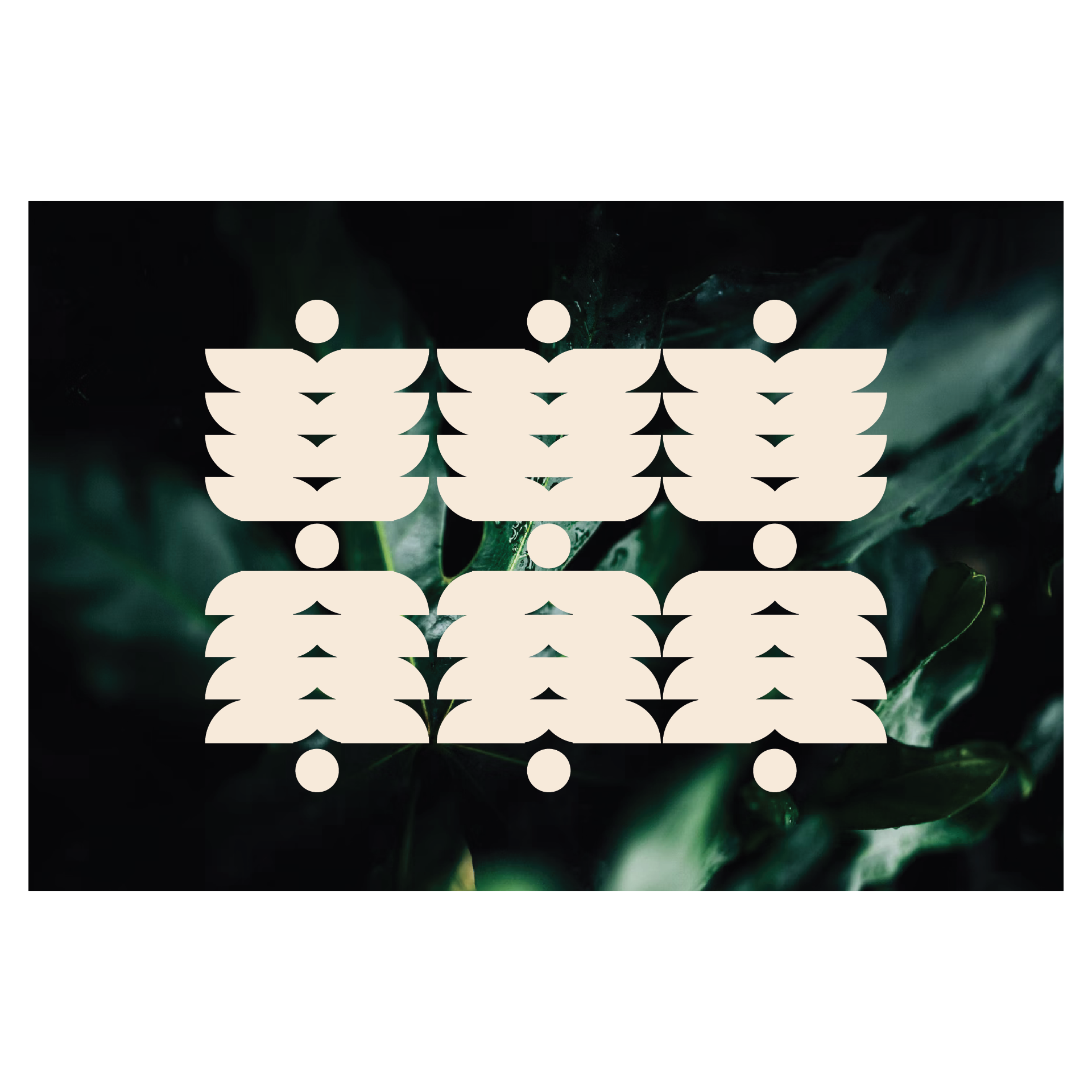 ICON PACK no. 2