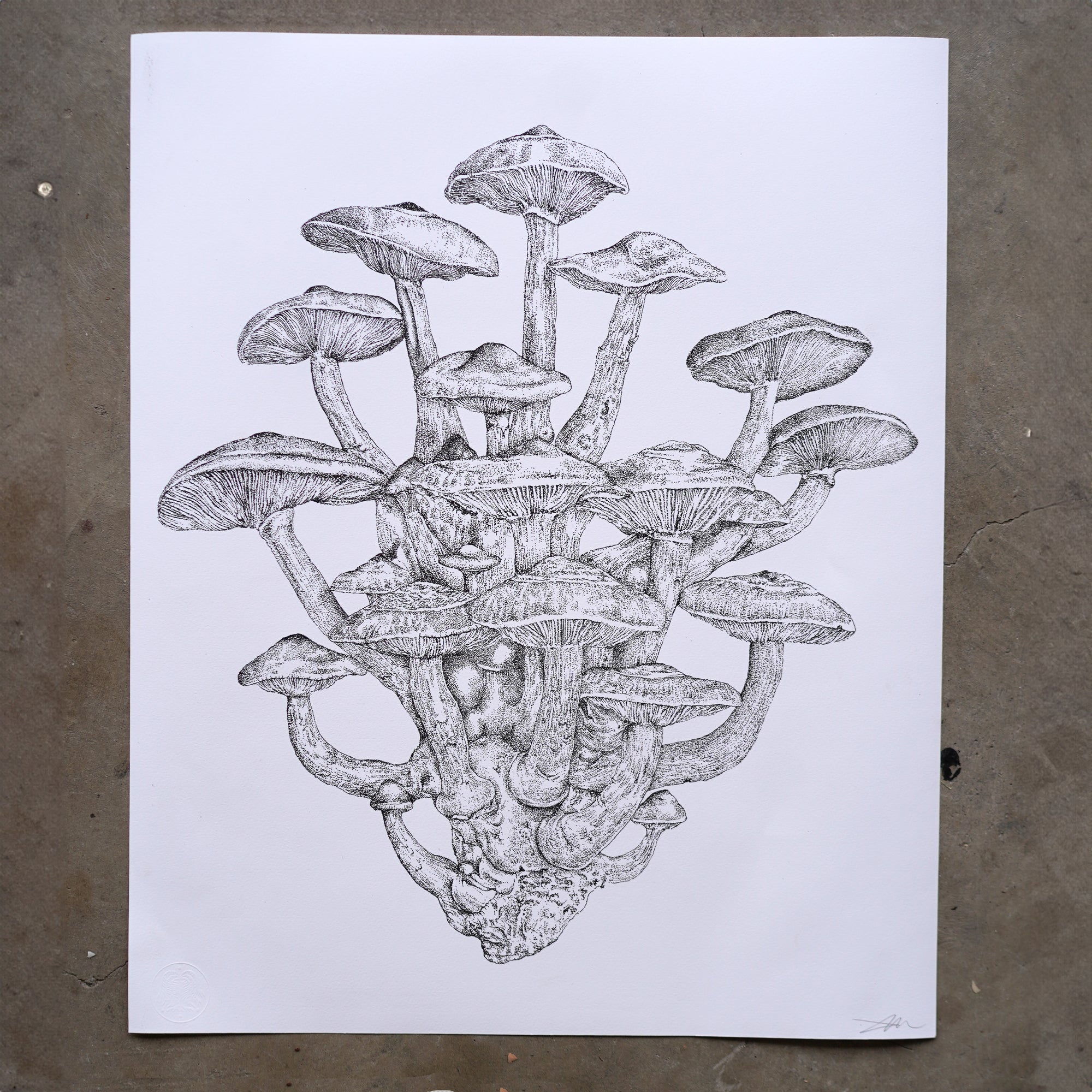 'Cluster' Fine Art Print