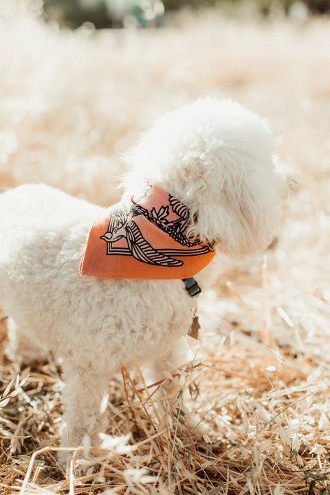 'Life In Flight’ Lil' Bandana