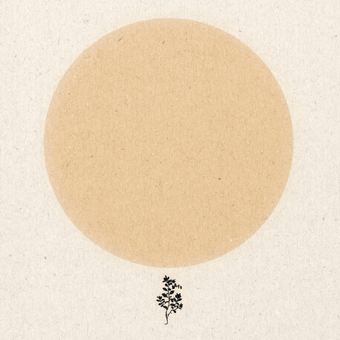 'Starting Somewhere' Print