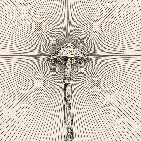 'Fungus' Print