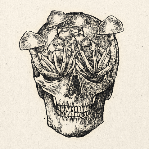 'Returning to Source' Print