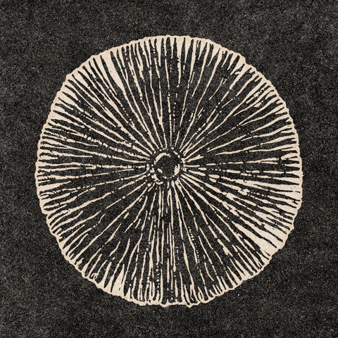 'Under The Cap' Print