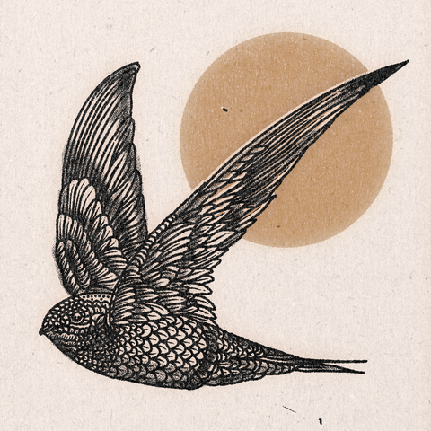 'Midflight' Print