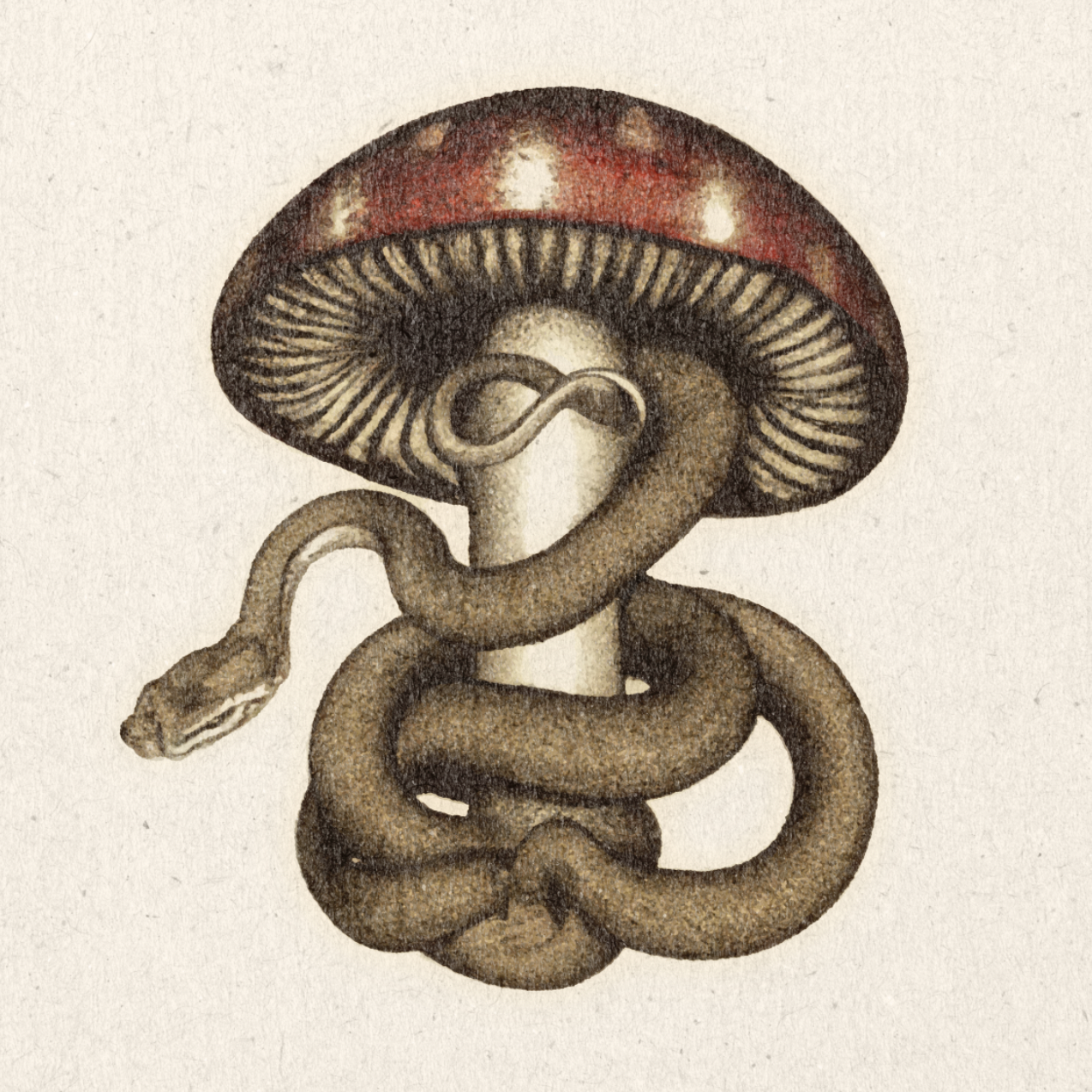 &#39;Serpent&#39; Print