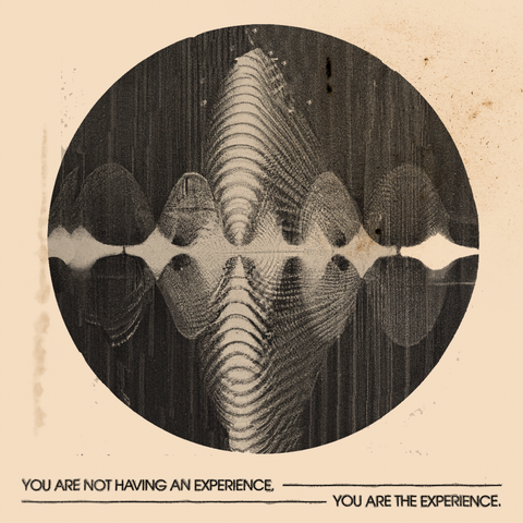 'You Are The Experience' Print