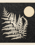 'Night Fern' Print