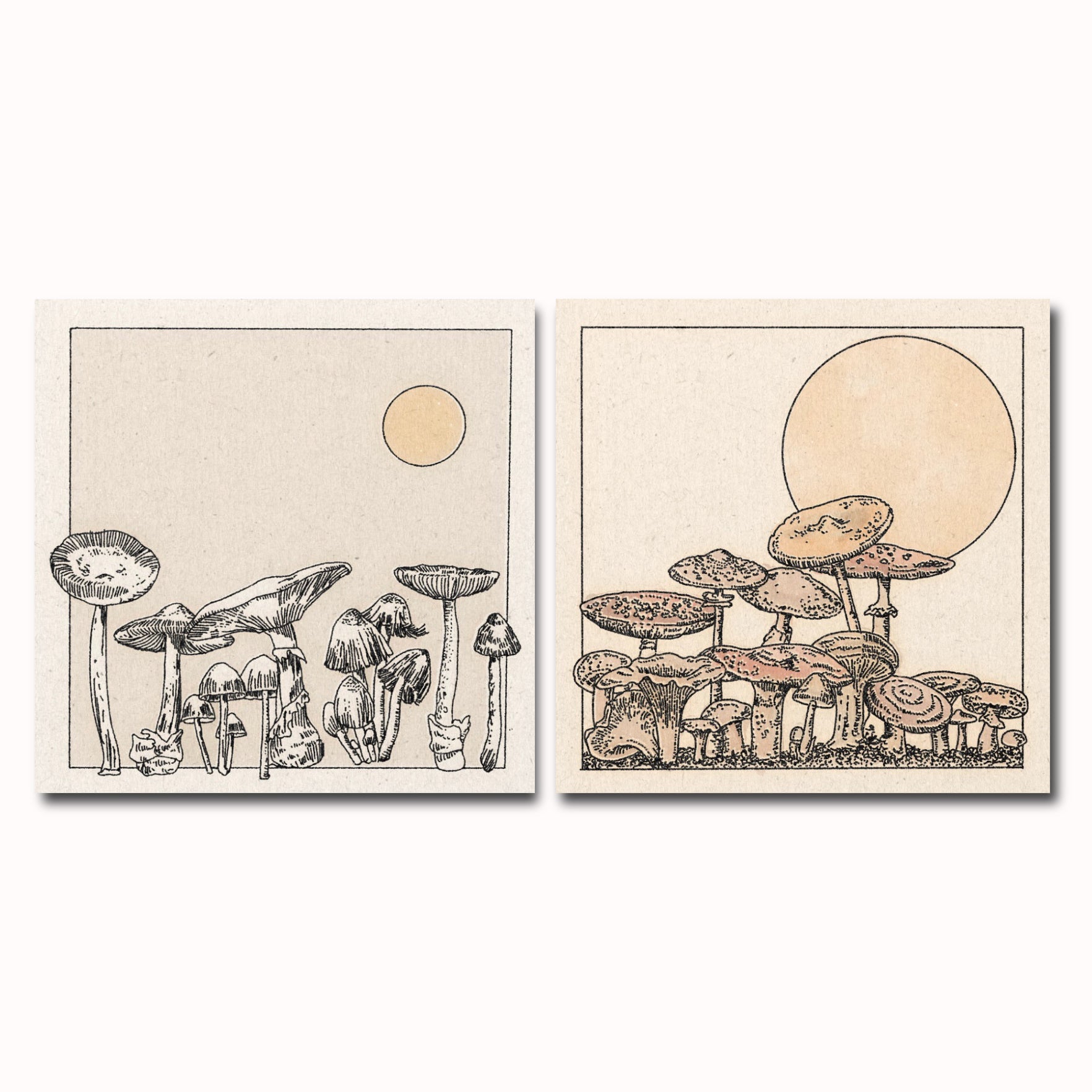 &#39;Mushroom Garden&#39; Print Set