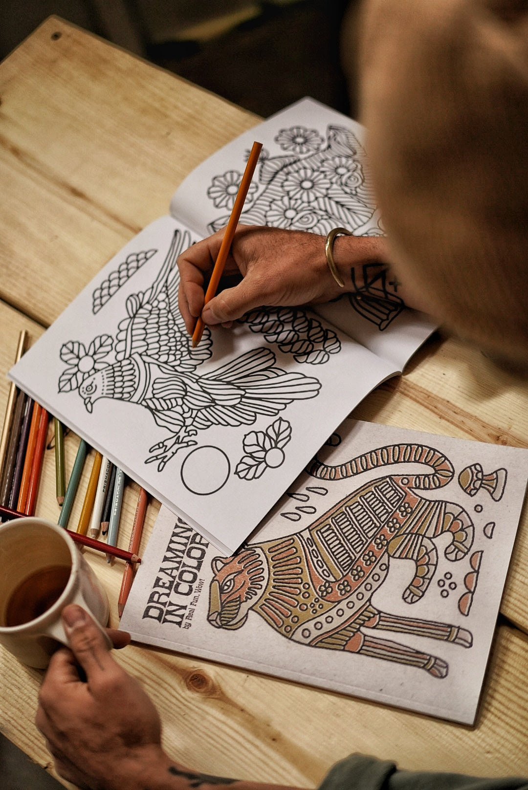 &#39;Dreaming In Color&#39; Coloring Book