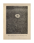'Who Fucking Cares, We're All Going To Die' Print