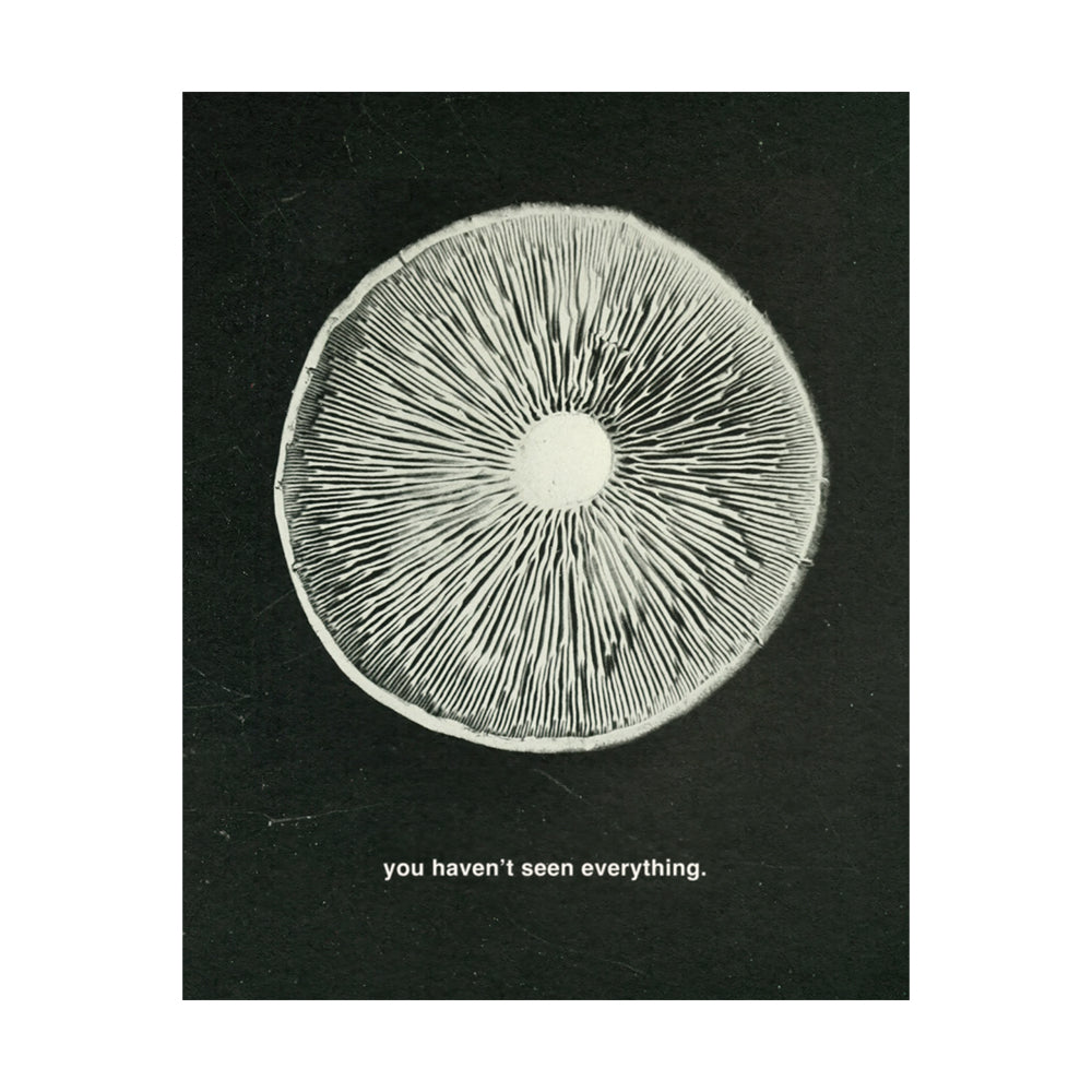 'You Haven’t Seen Everything.' Print
