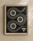 'Uncoiled' Print