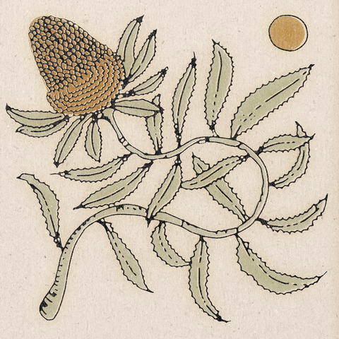 'Banksia' Print