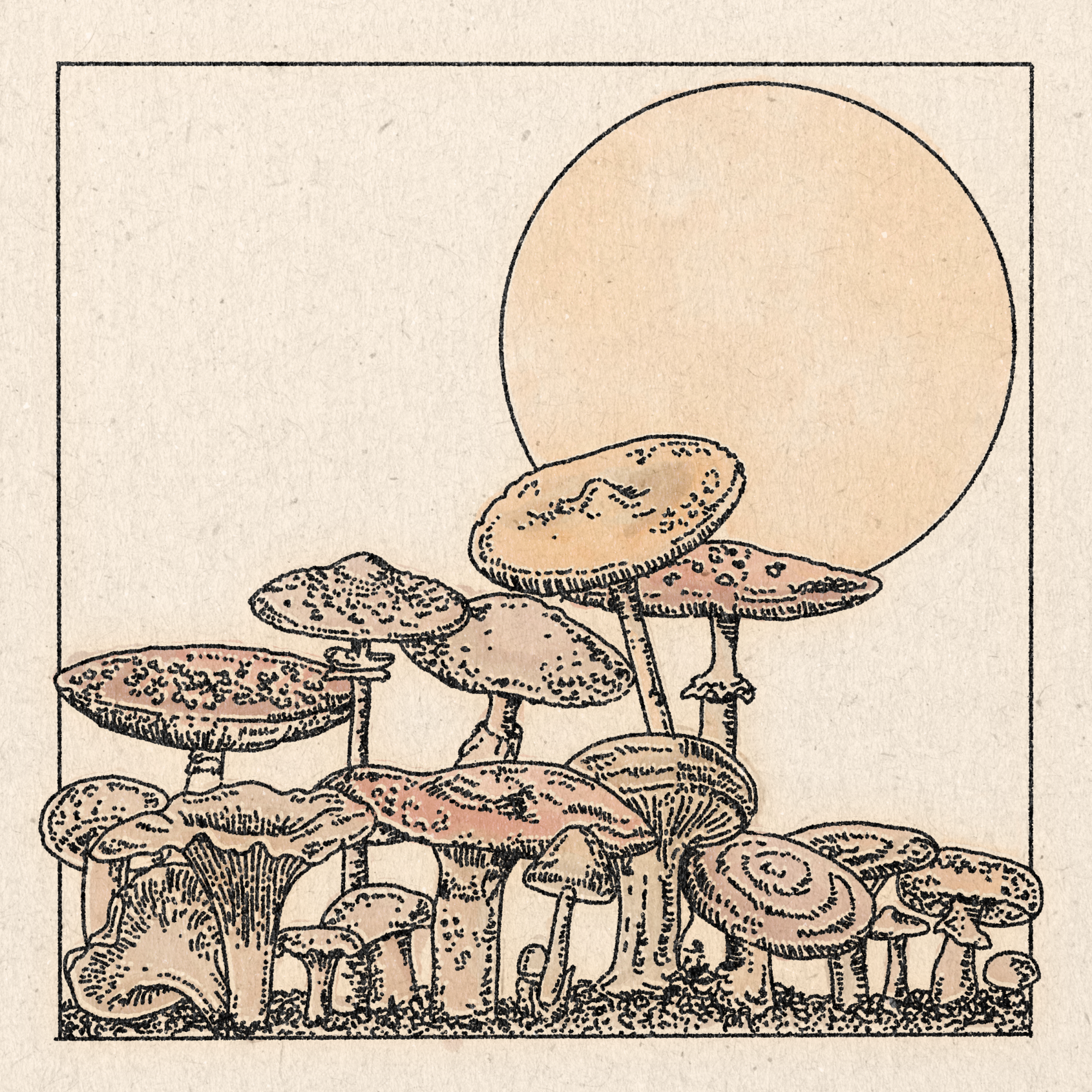 &#39;Mushroom Garden no. 2’ Print