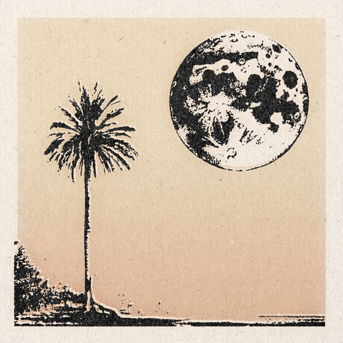 'Palm & Moon' Print