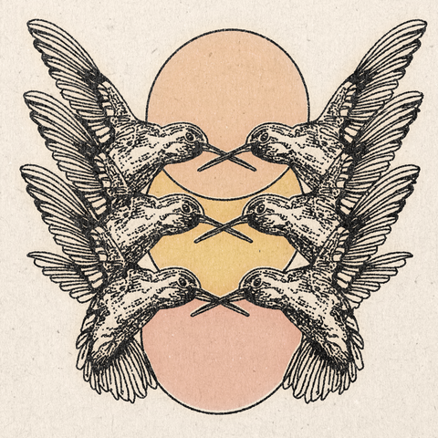 'Hummingbird Harmony' Print
