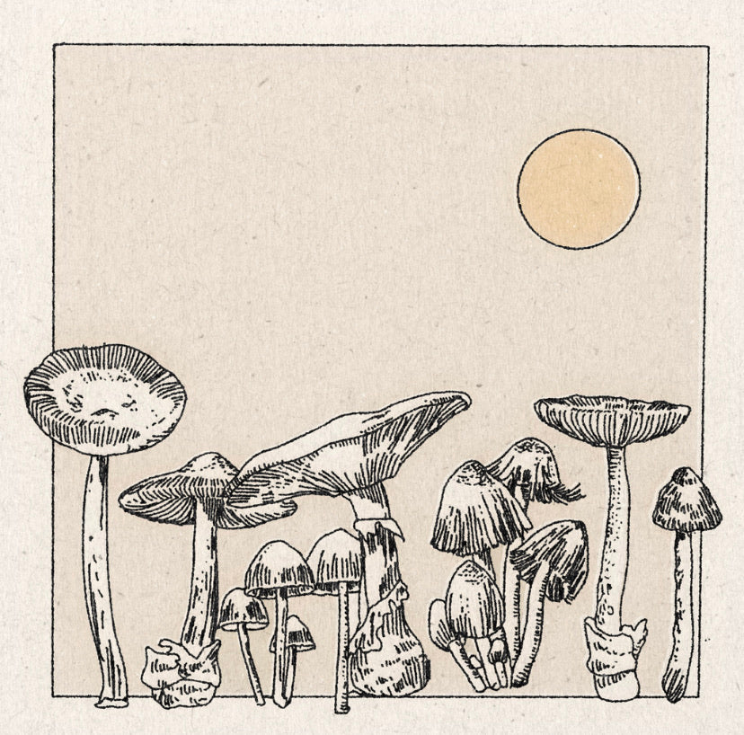 &#39;Mushroom Garden’ Print